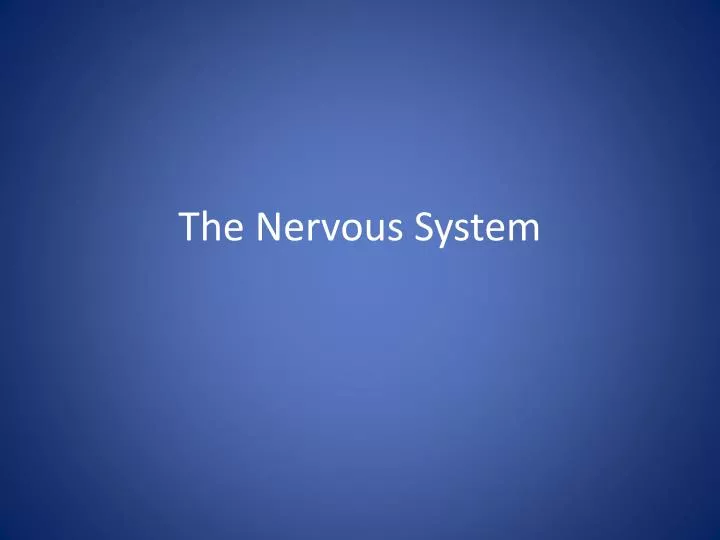 the nervous system