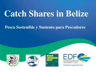 Catch Shares in Belize