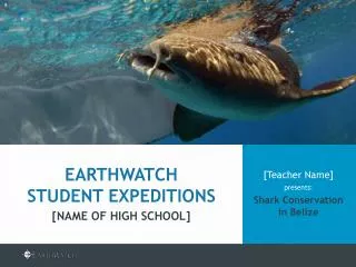 [Teacher Name] presents: Shark Conservation in Belize