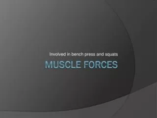 Muscle Forces