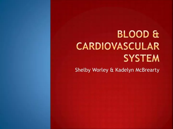 PPT - Blood & Cardiovascular System PowerPoint Presentation, Free ...