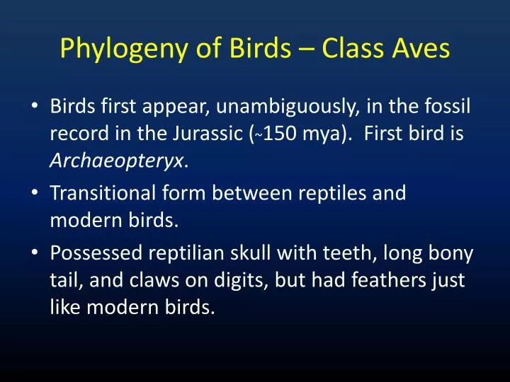 phylogeny of birds class aves