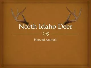 North Idaho Deer