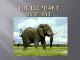 The Elephant by Eliot