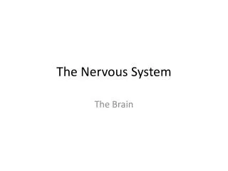 The Nervous System