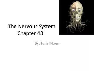 The Nervous System 	Chapter 48