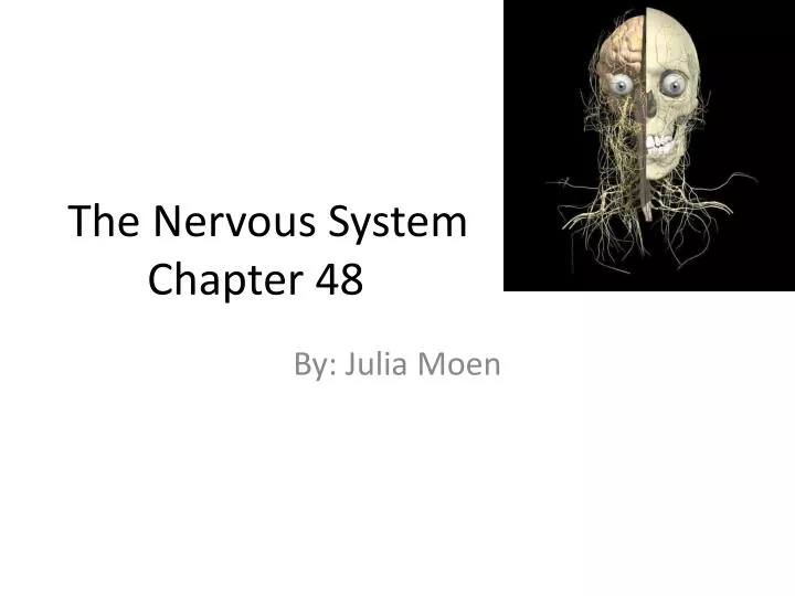 the nervous system chapter 48