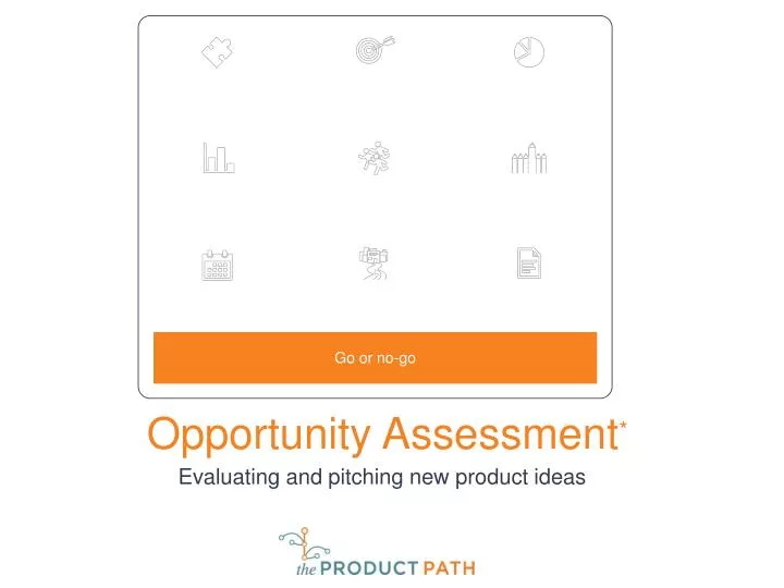 opportunity assessment