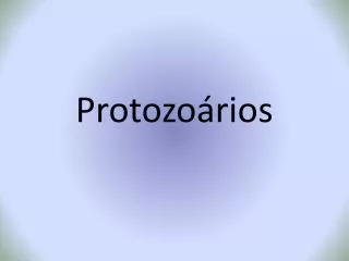 protozo rios