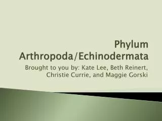 Phylum Arthropoda / Echinodermata