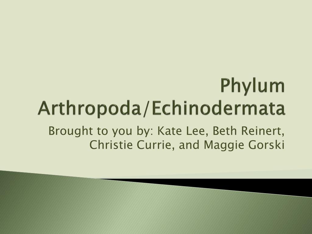 PPT - Phylum Arthropoda / Echinodermata PowerPoint Presentation, free ...