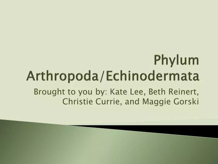 phylum arthropoda echinodermata
