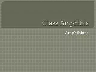 Class Amphibia
