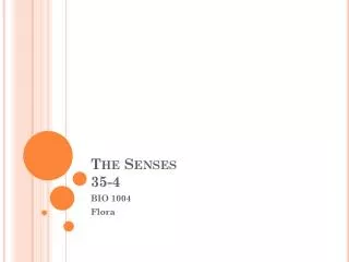 The Senses 35-4