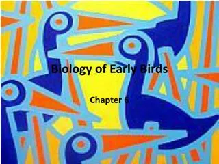 Biology of Early Birds
