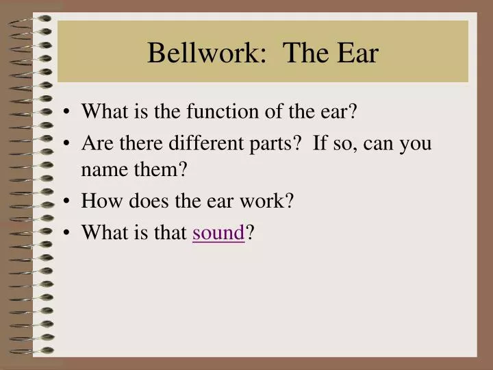 bellwork the ear