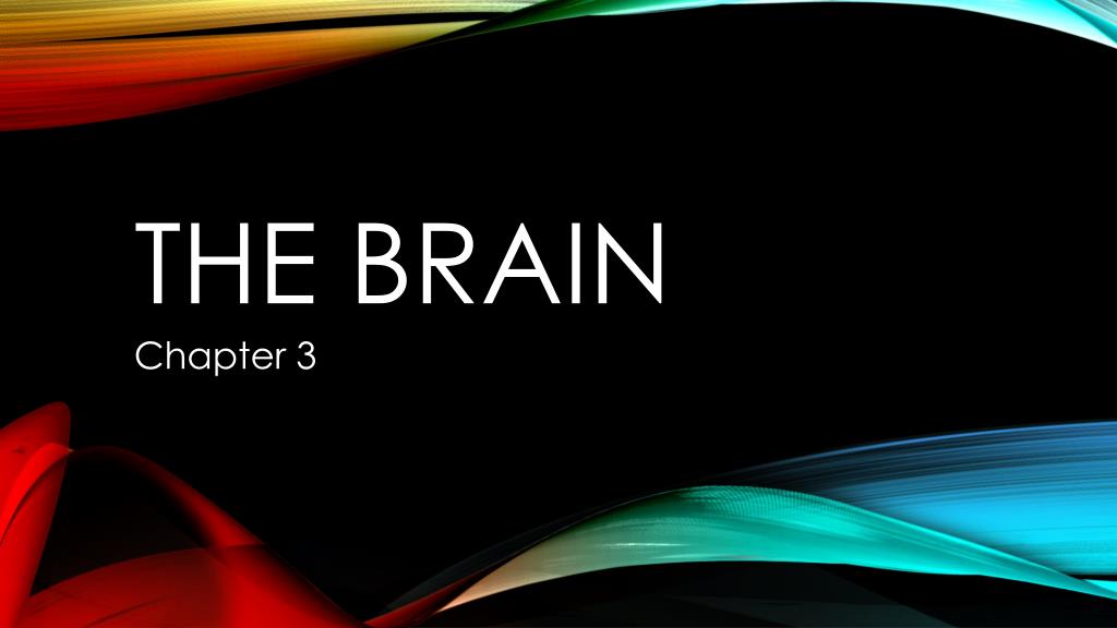 PPT - The brain PowerPoint Presentation, free download - ID:2143645