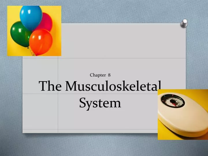 chapter 8 the musculoskeletal system
