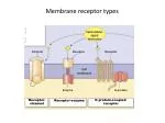 Membrane receptor types - slide 1