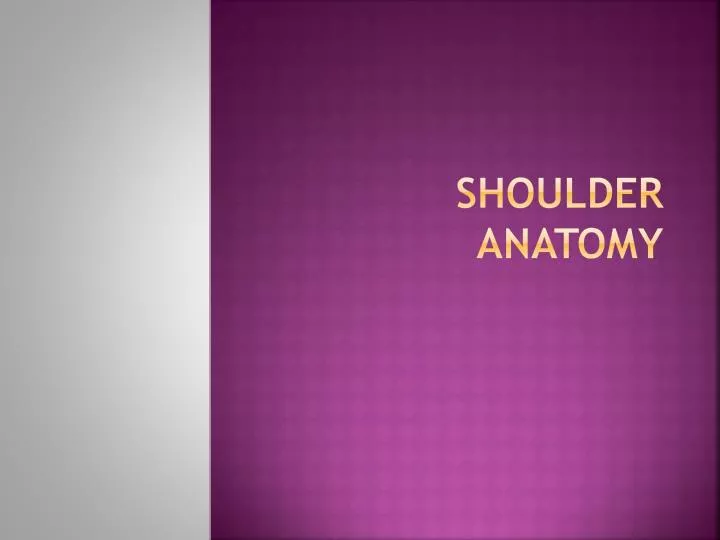 shoulder anatomy