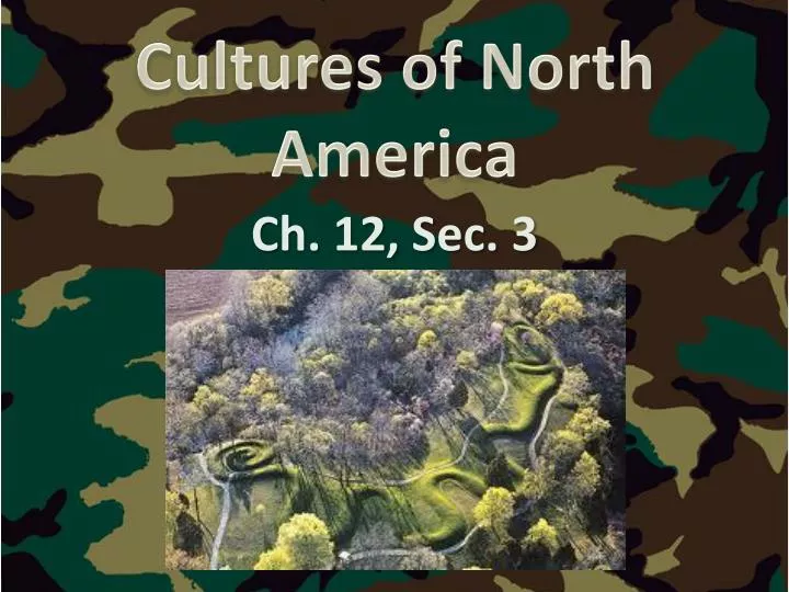 cultures of north america
