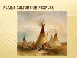 Plains Culture or Peoples