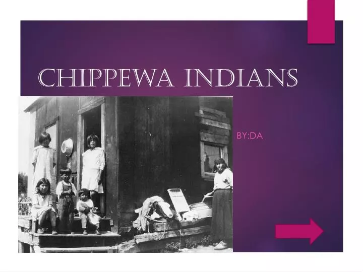 chippewa indians