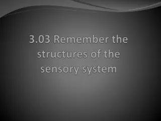 3.03 Remember the structures of the sensory system