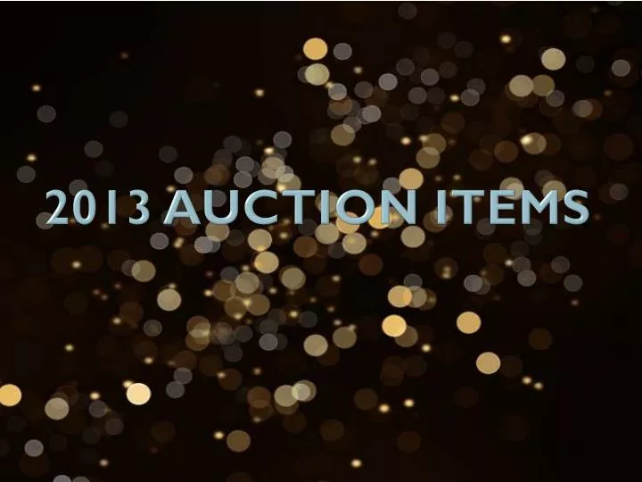 2013 auction items
