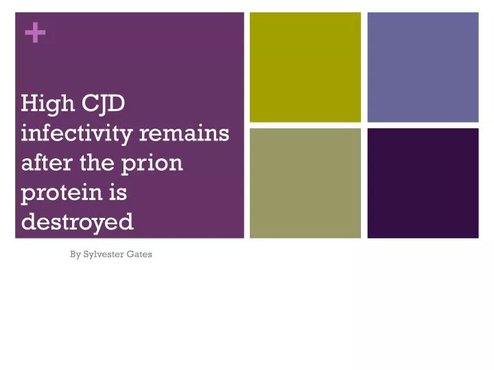 high cjd infectivity remains after the prion protein is destroyed