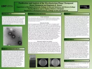 Purification and Analysis of the Mycobacterium Phage Chempanal