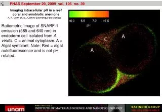 PNAS September 29, 2009 vol. 106 no. 39