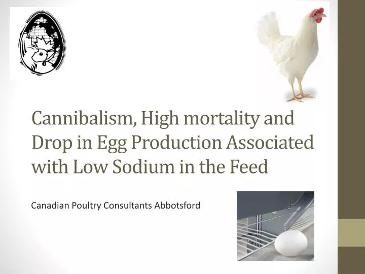 cannibalism high mortality and drop in egg production associated with low sodium in the feed