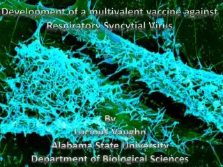 Development of a multivalent vaccine against Respiratory Syncytial Virus