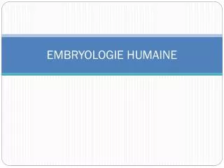 embryologie humaine