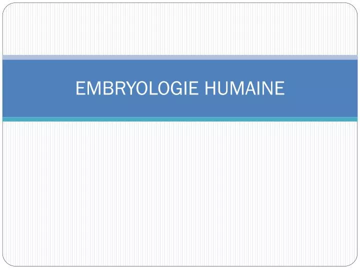 embryologie humaine