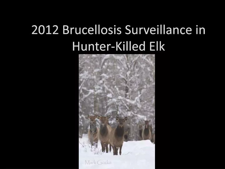 2012 brucellosis surveillance in hunter killed elk