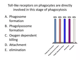 Toll-like receptors on phagocytes are directly involved in this stage of phagocytosis