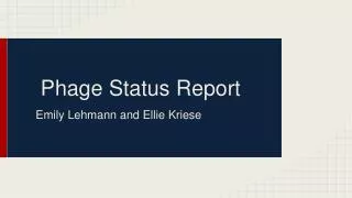 Phage Status Report