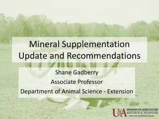 Mineral Supplementation Update and Recommendations