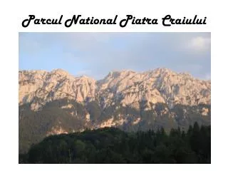 parcul national piatra craiului
