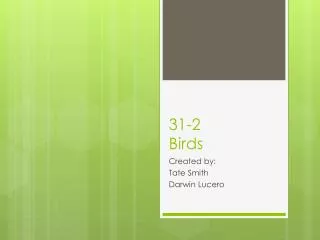 31-2 Birds
