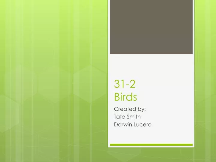 31 2 birds