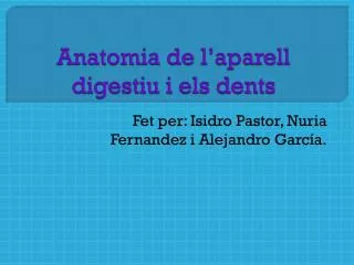 Anatomia de l’aparell digestiu i els dents