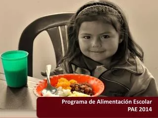 programa de alimentaci n escolar pae 2014