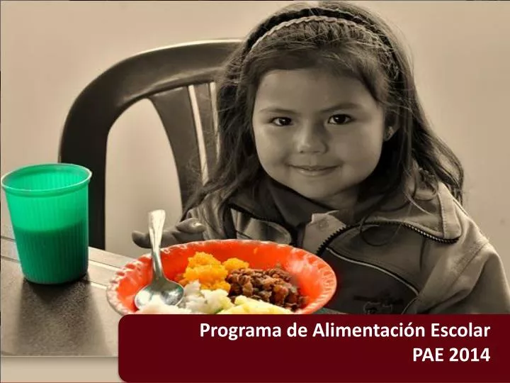 programa de alimentaci n escolar pae 2014