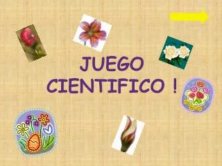 juego cientifico