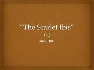 the scarlet ibis