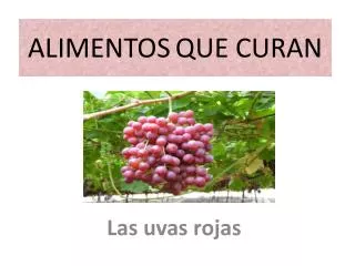 alimentos que curan