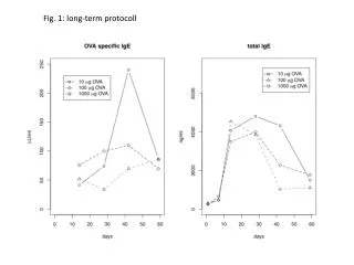 Fig. 1: long-term protocoll